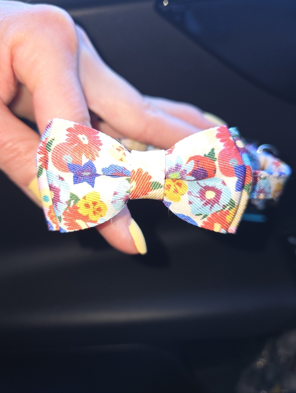 Floral Cat Collar